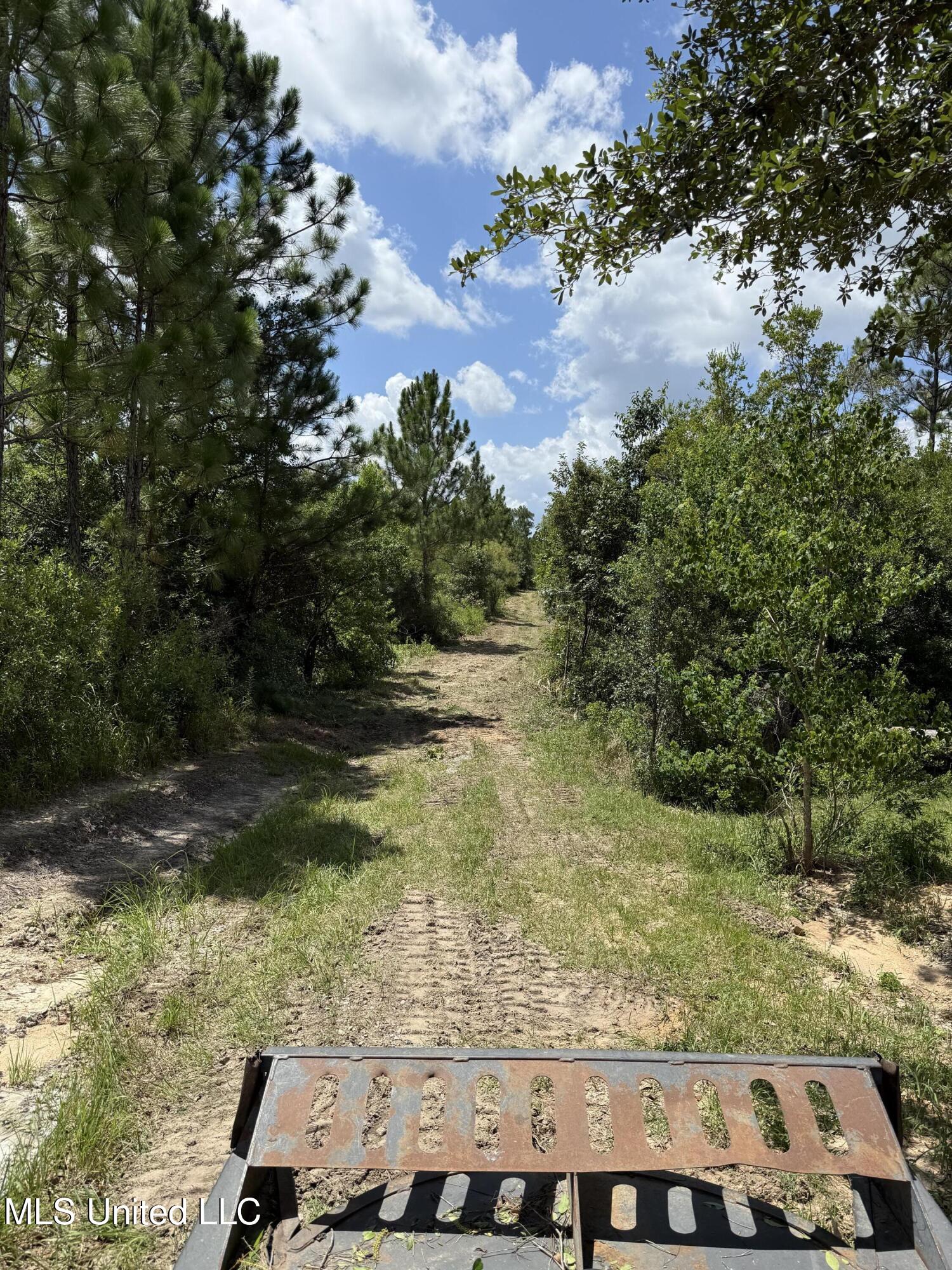 Dunn Road Moss Point, MS 39562 - Photo 4 of 11 IMG_8354
