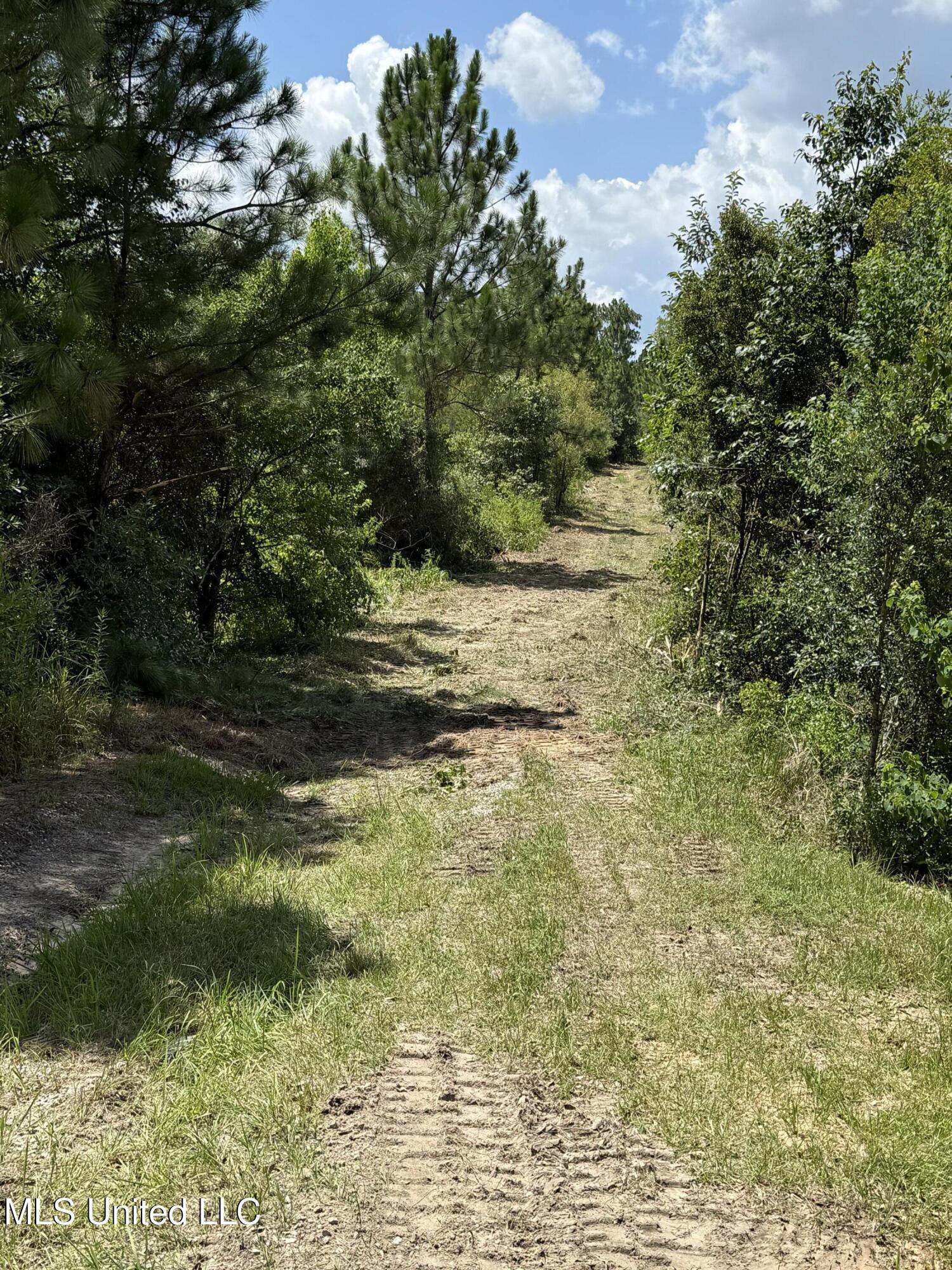 Dunn Road Moss Point, MS 39562 - Photo 5 of 11 IMG_8355