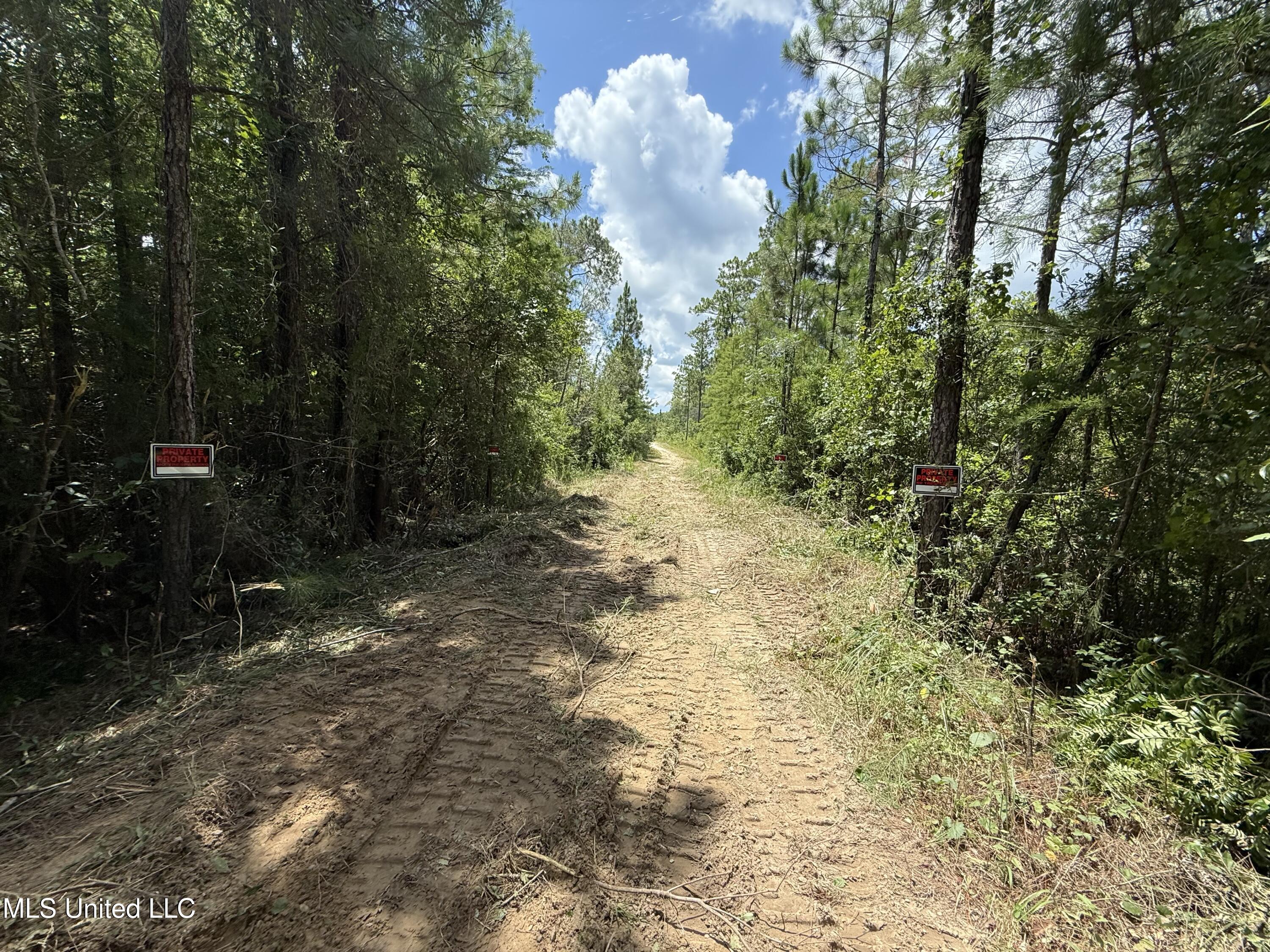 Dunn Road Moss Point, MS 39562 - Photo 7 of 11 IMG_8360