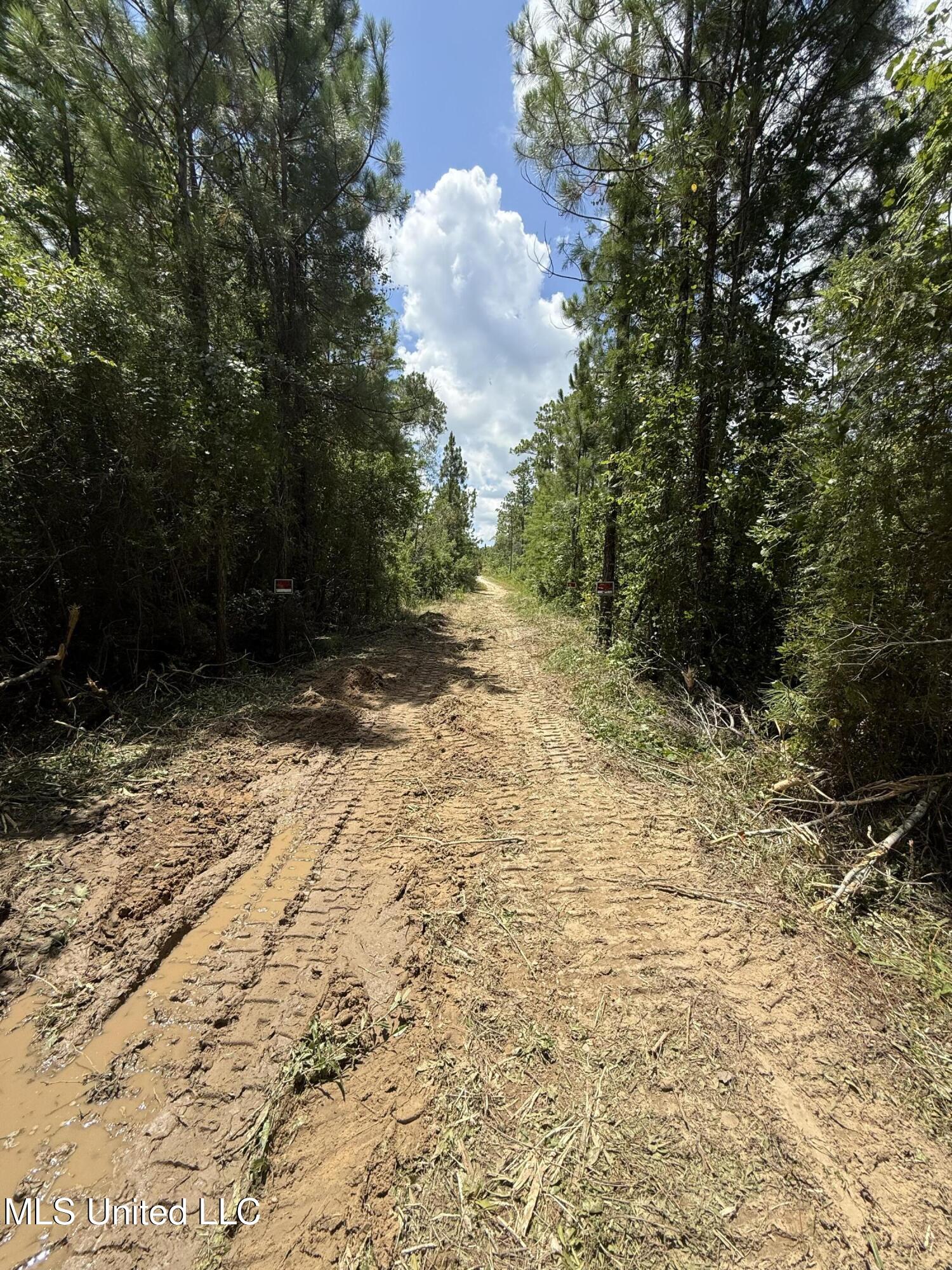 Dunn Road Moss Point, MS 39562 - Photo 9 of 11 IMG_8361