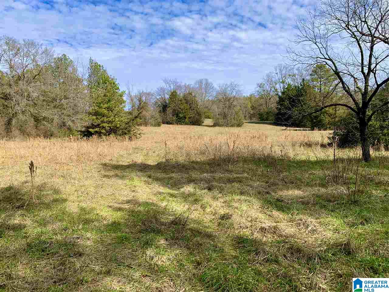 0 County Road 16 Calera, AL 35040 - Photo 16 of 22