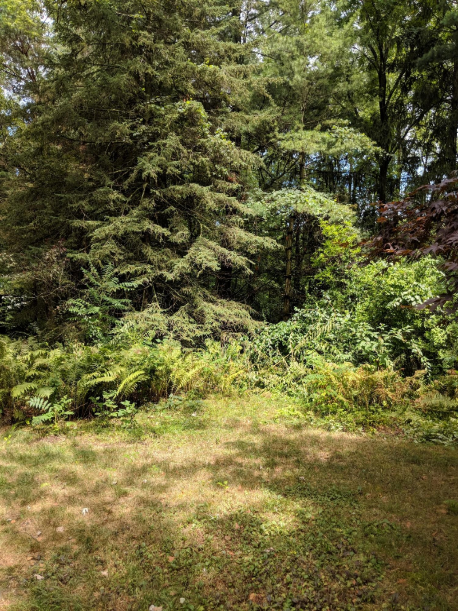 8501 West East Road Lakeside, MI 49128 - Photo 13 of 13 IMG_20190806_131431