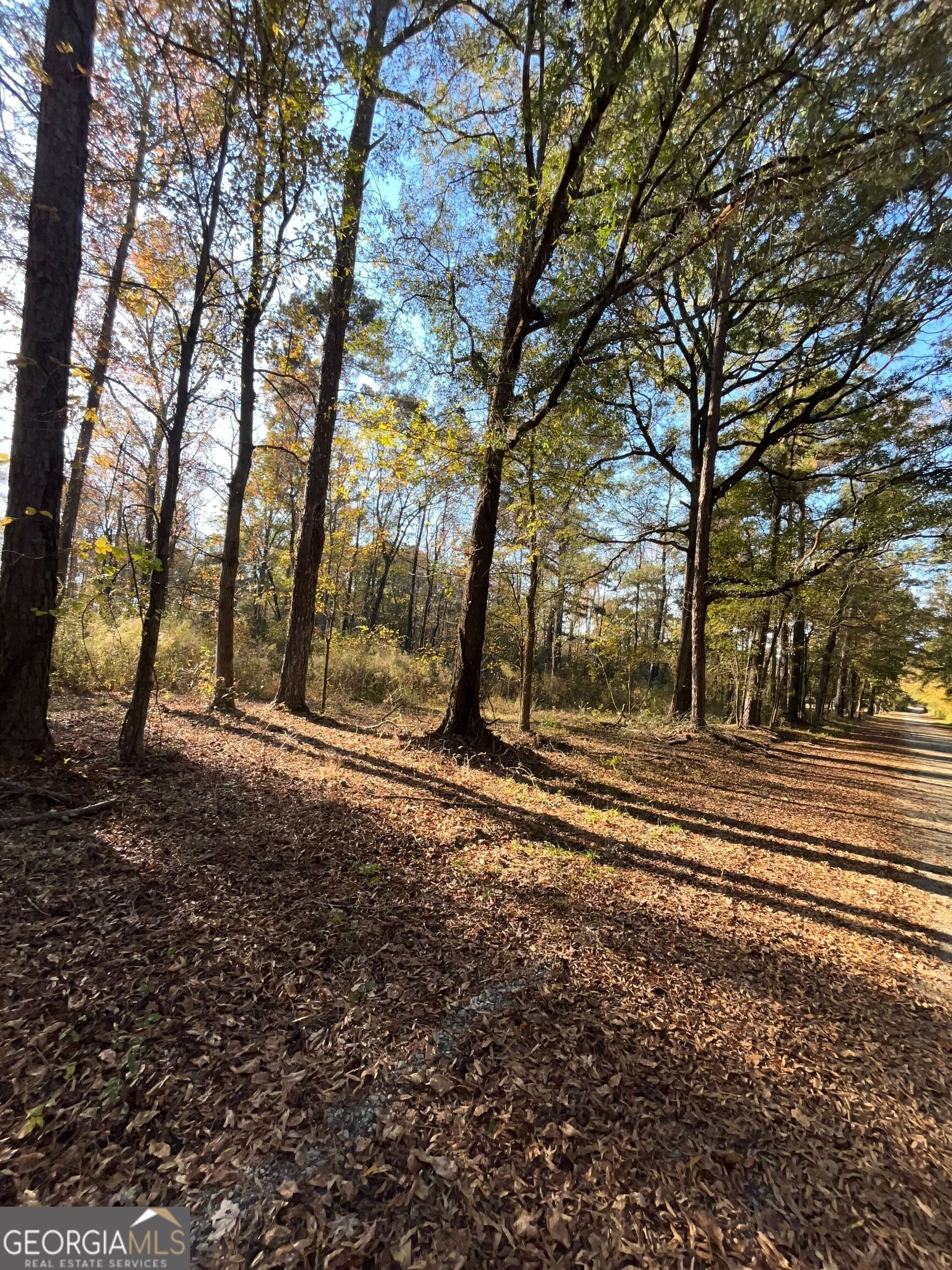 0 Oak Lane Madison, GA 30650 - Photo 2 of 7 a backyard of a house with lots of green space