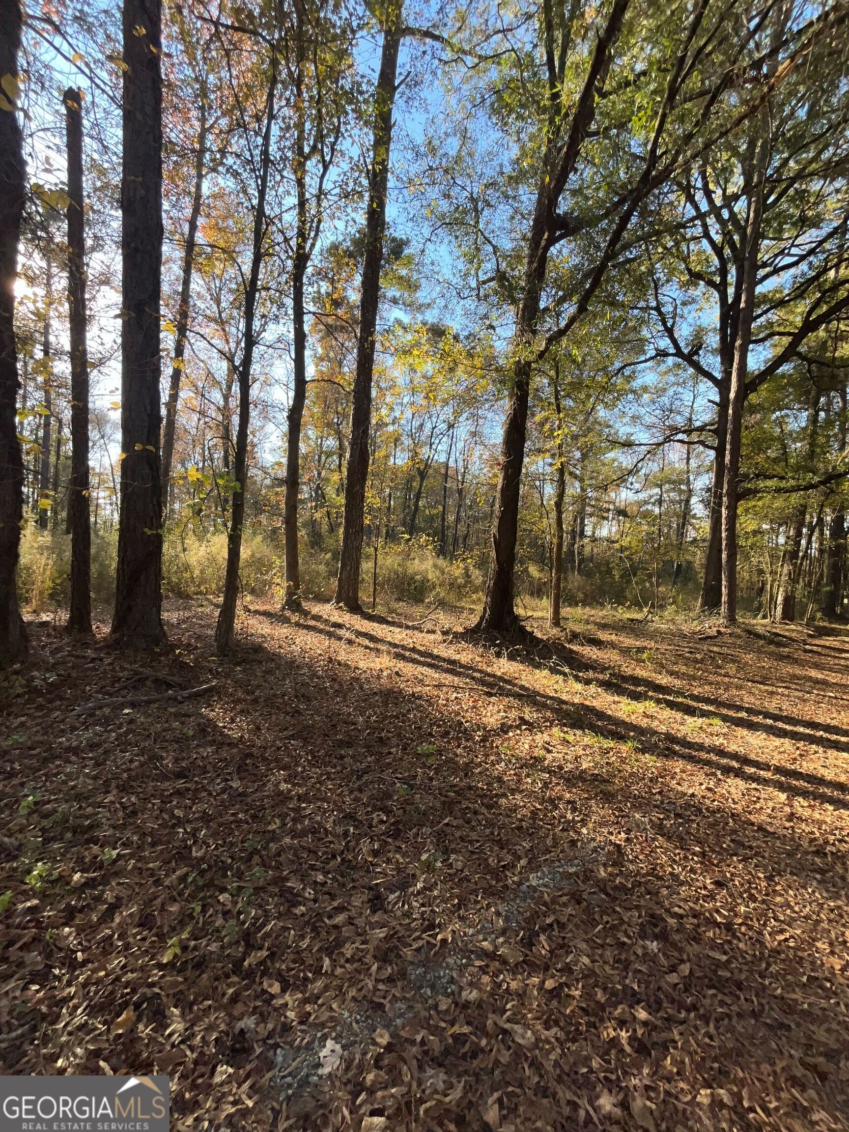 0 Oak Lane Madison, GA 30650 - Photo 3 of 7 a backyard of a house with large trees