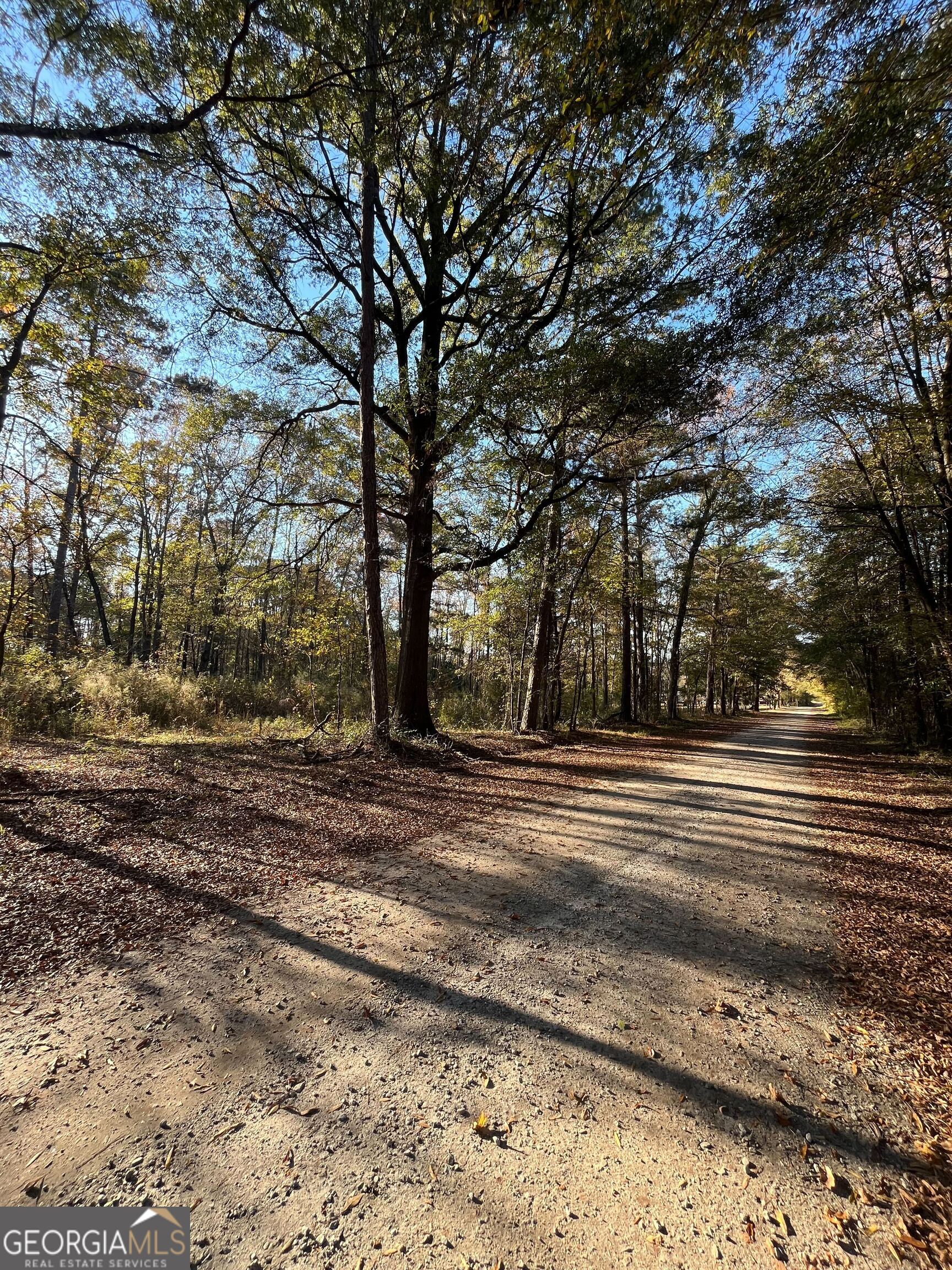 0 Oak Lane Madison, GA 30650 - Photo 6 of 7 a view of a yard with large trees