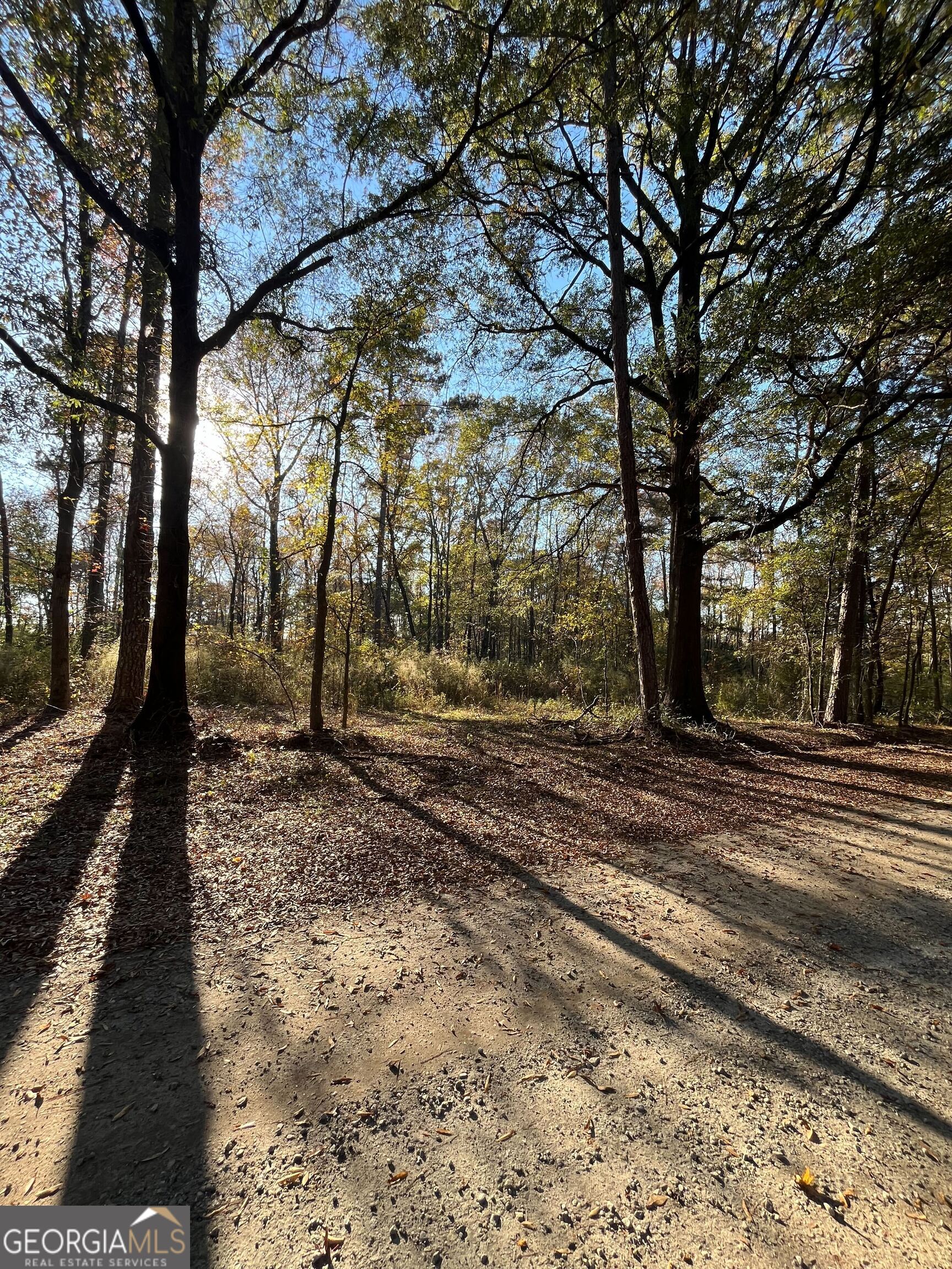 0 Oak Lane Madison, GA 30650 - Photo 7 of 7 a view of a yard with large trees