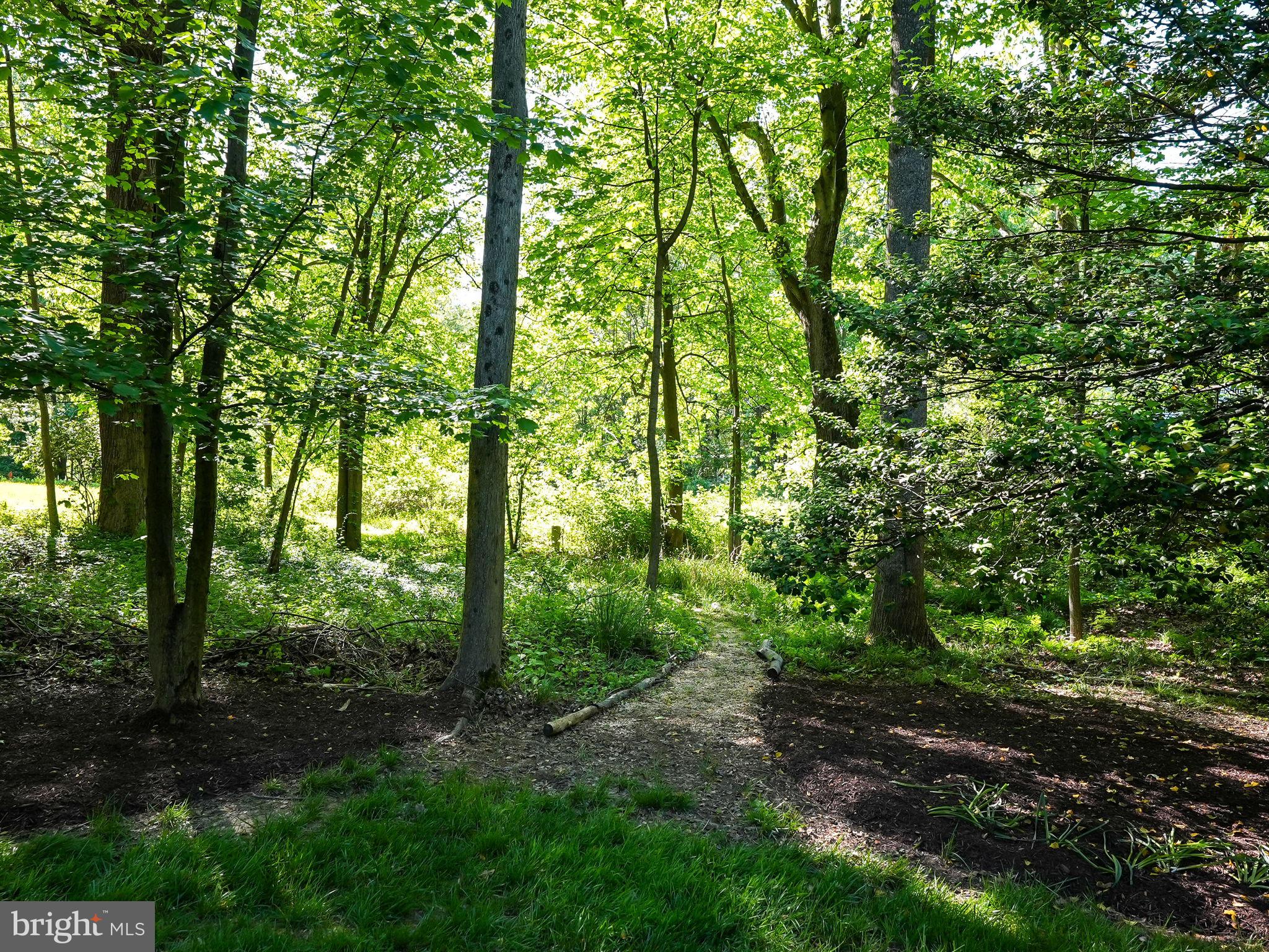 11615 Quail Ridge Court Reston, VA 20194 - Photo 55 of 64 Backyard