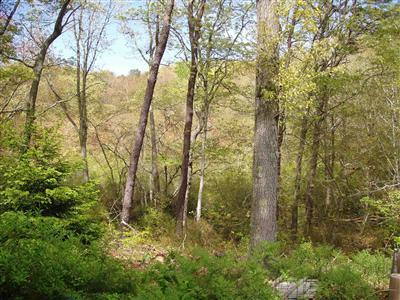 176 Monument Road Orleans, MA 02653 - Photo 23 of 24 Additional Photo