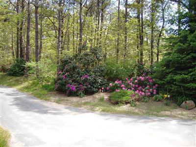 176 Monument Road Orleans, MA 02653 - Photo 24 of 24 Additional Photo