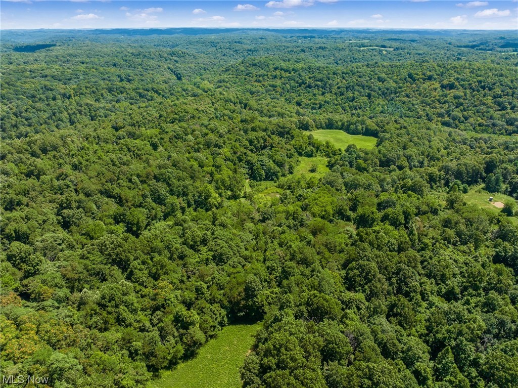 Dozer Ridge Road Blue Rock, OH 43720 - Photo 5 of 20