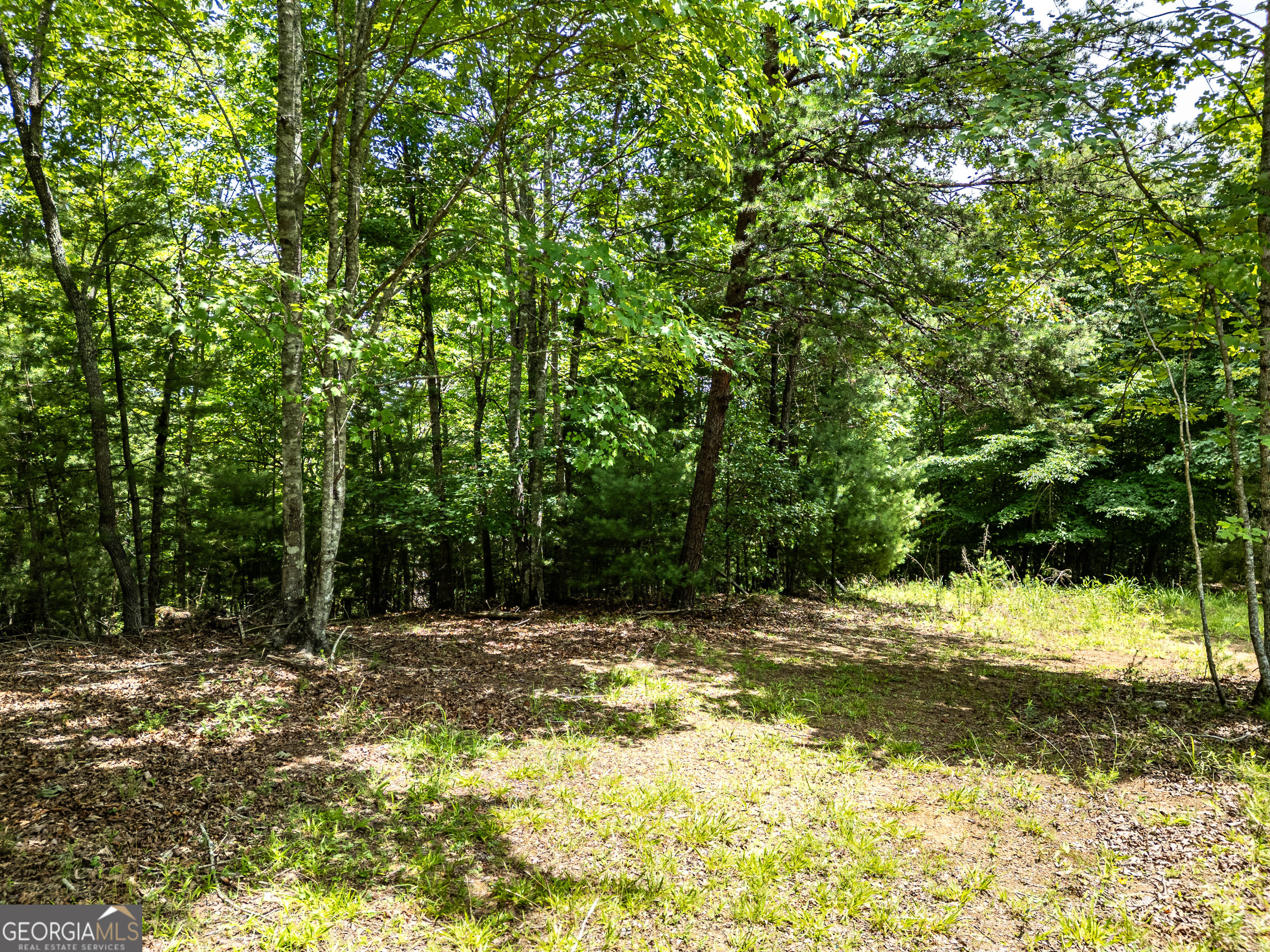 2 Stormy Ridge Brasstown, NC 28902 - Photo 3 of 16