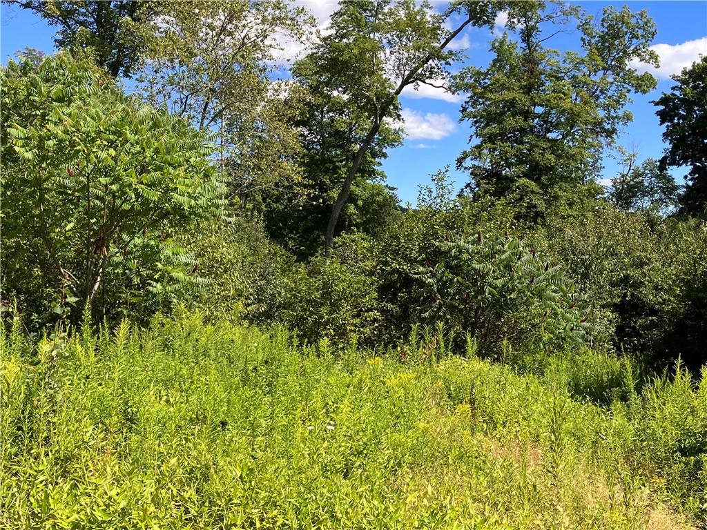 155 Davis Farm Road Clarendon, PA 16313 - Photo 11 of 15 Gallery Image 11