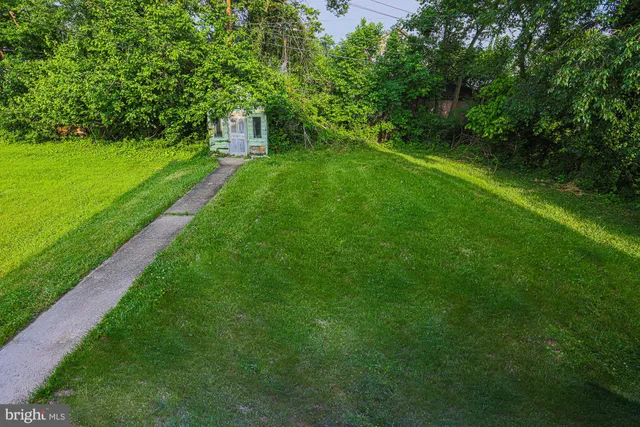 a view of a big yard with plants and large trees