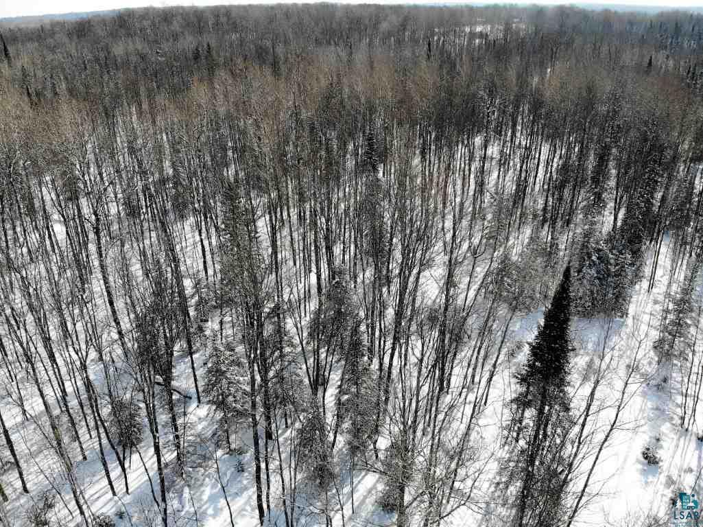 Lot 19 East Conley Road South Range, WI 54874 - Photo 1 of 2 Gallery Image 1