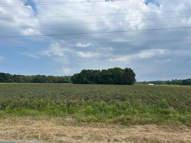 $160,000 | 0 Cardinal Road, Elloree, SC 29047