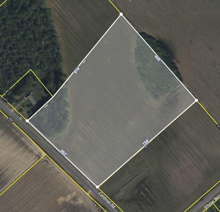 0 Cardinal Road Elloree, SC 29047 - Photo 3 of 4 Cardinal2