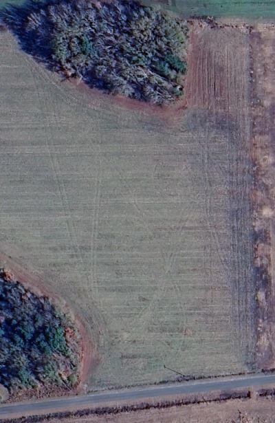 0 Cardinal Road Elloree, SC 29047 - Photo 4 of 4 Cardinal1