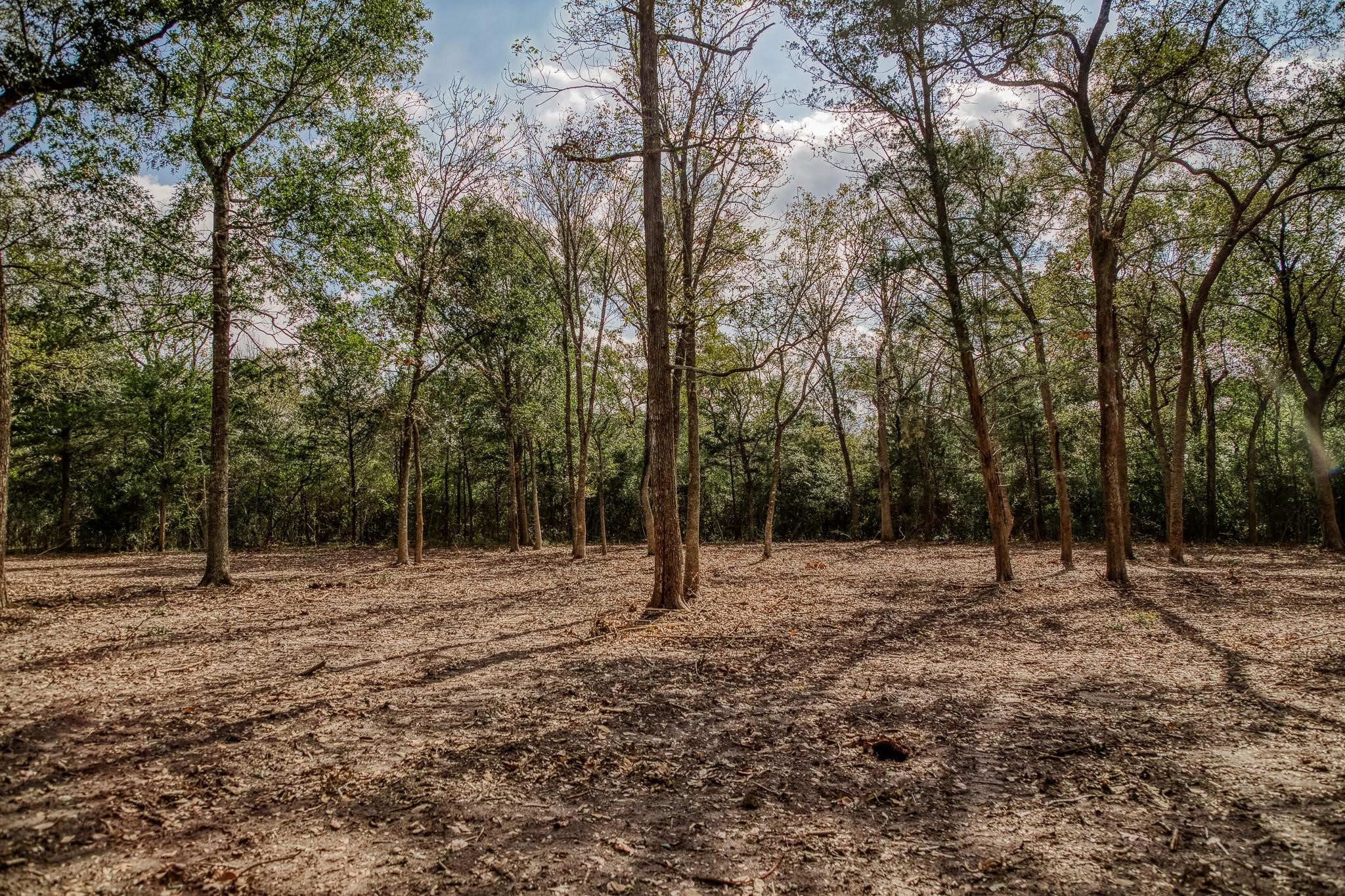 Tbd Sun Oil Road Brenham, TX 77833 - Photo 33 of 37 a backyard of a house with lots of trees