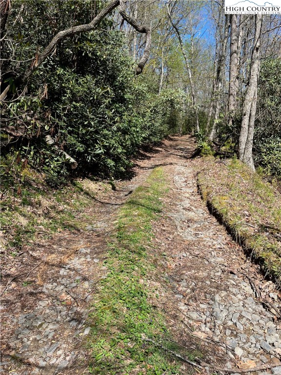 Lyons Road Roaring Gap, NC 28668 - Photo 2 of 49 Gallery Image 2