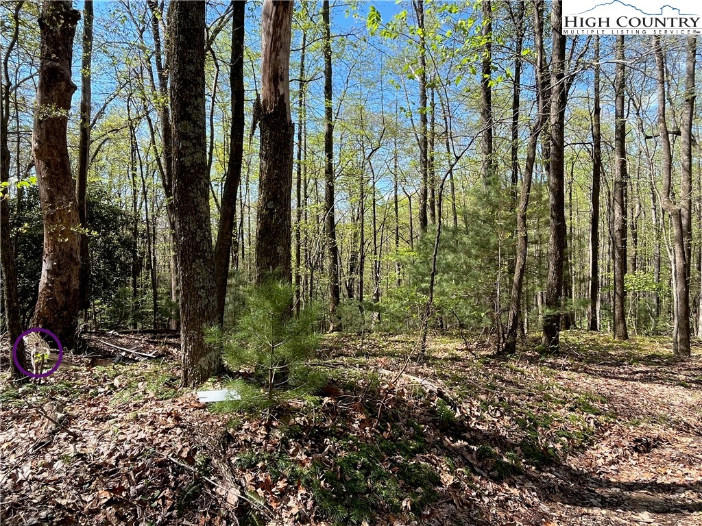 Lyons Road Roaring Gap, NC 28668 - Photo 6 of 49 Gallery Image 6