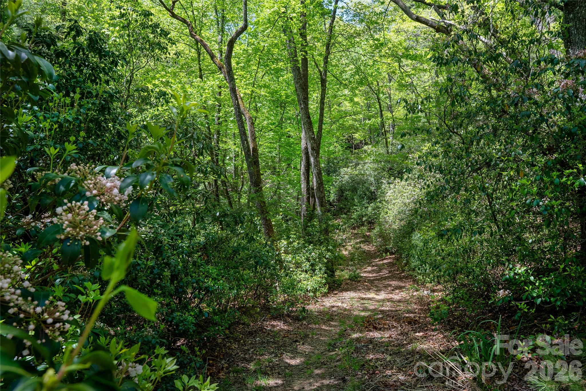Tbd Springhouse Trail, Unit L15 Brevard, NC 28712 - Photo 10 of 21