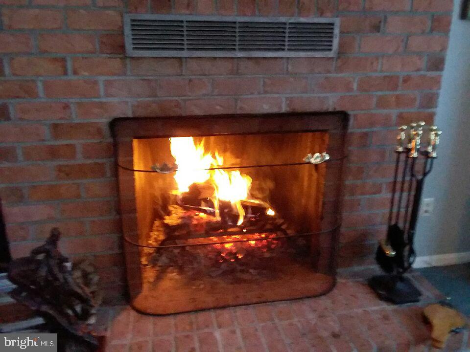 421 McKinneytown Road Elkton, MD 21921 - Photo 22 of 72 Cozy up to a relaxing fire