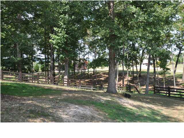 8513 West Crabtree Road Hixson, TN 37343 - Photo 3 of 18 Additional Photo