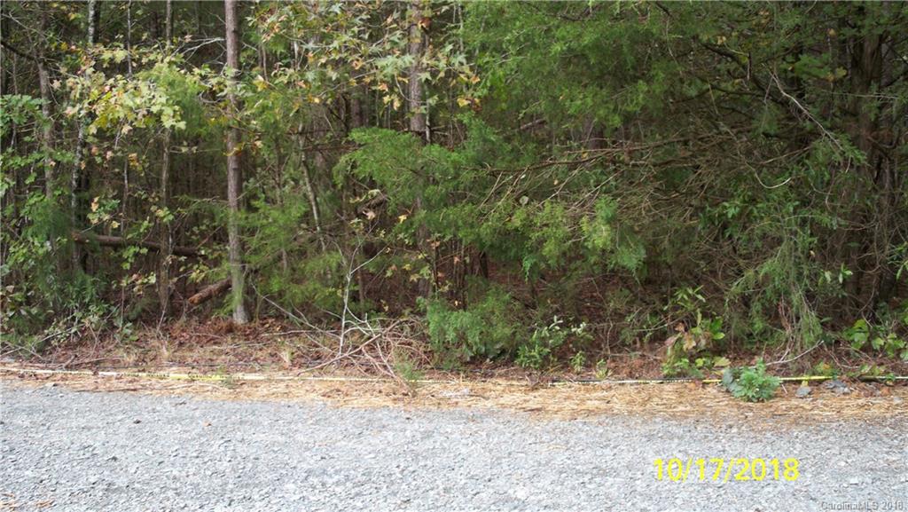 8208 Dennis Road Mint Hill, NC 28227 - Photo 4 of 4