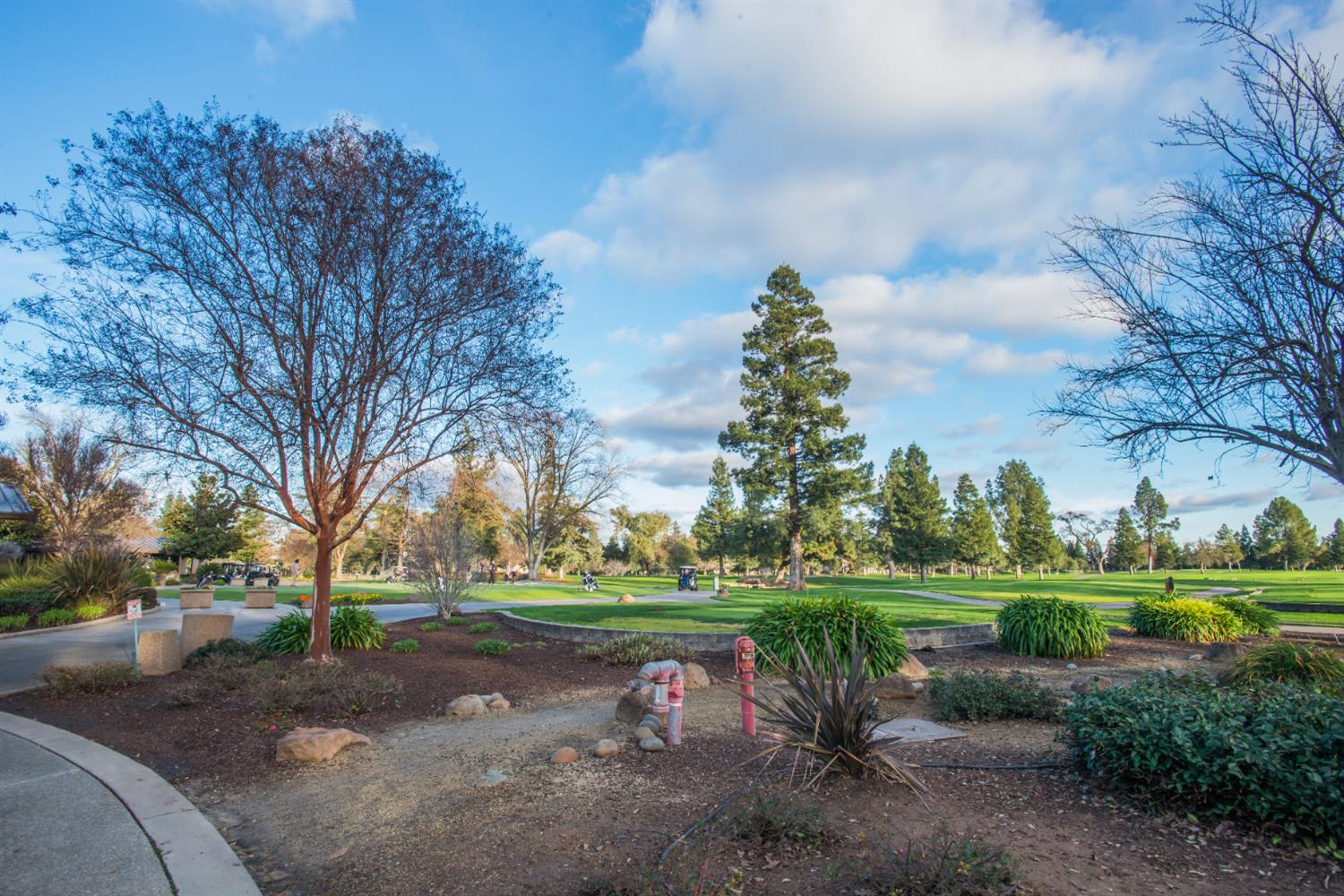 9512 Golf Course Lane Elk Grove, CA 95758 - Photo 9 of 71