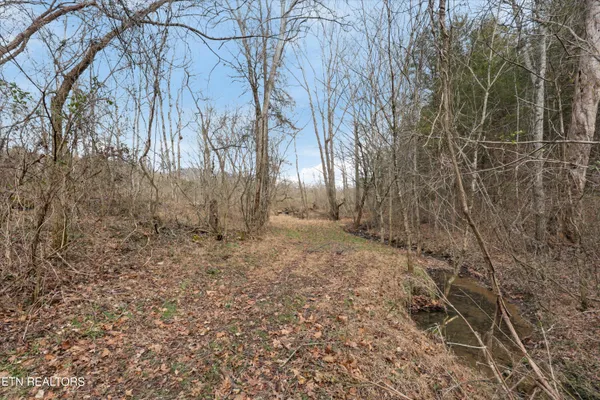 $799,000 | 397 Lewis Lane, Blaine, TN 37709