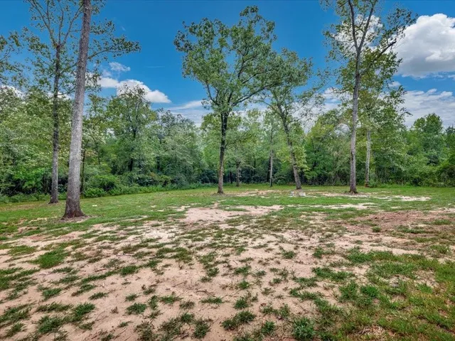 a view of a tree in a yard