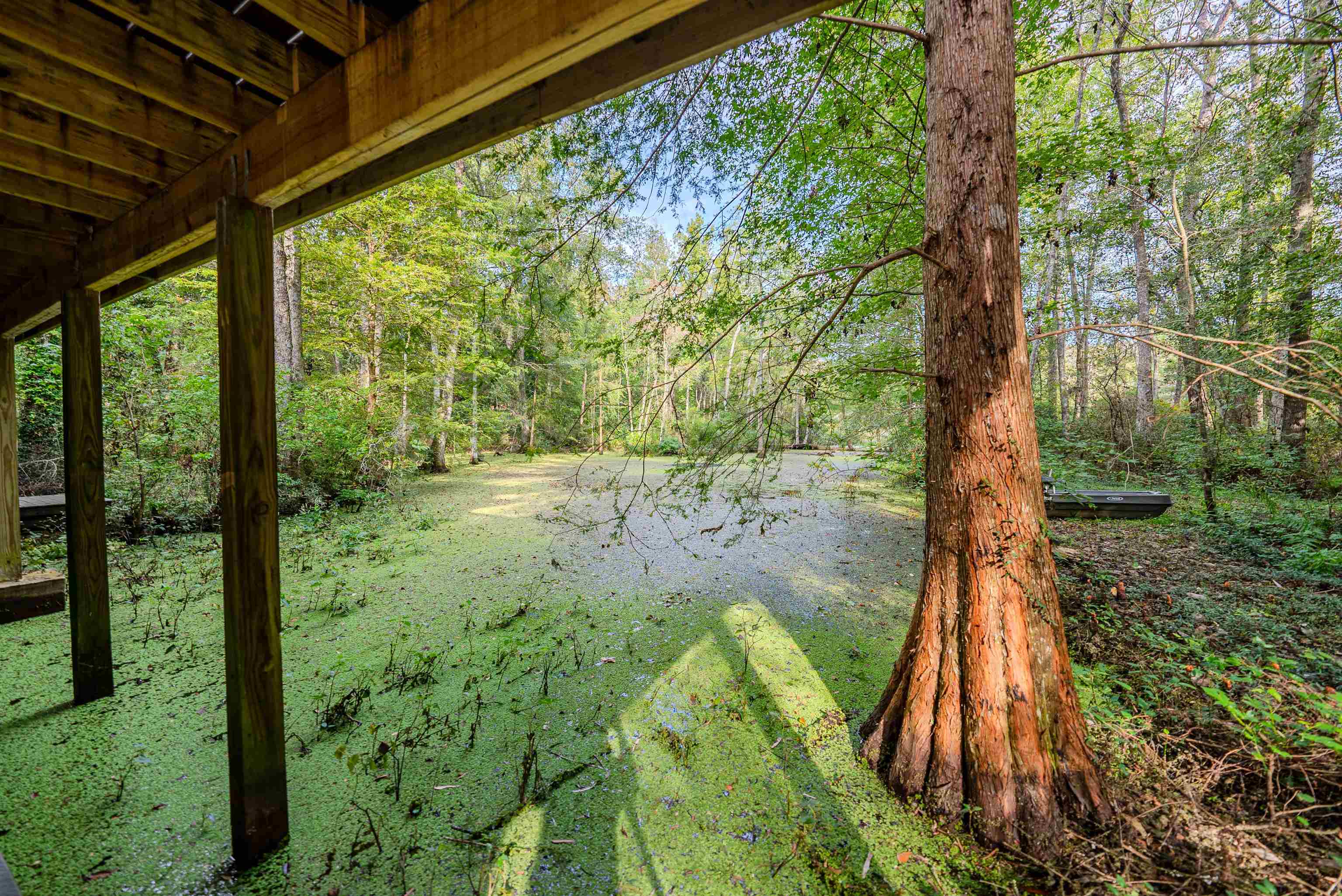 3890 Tan Mouse Road Tallahassee, FL 32309 - Photo 38 of 41 Gallery Image 38