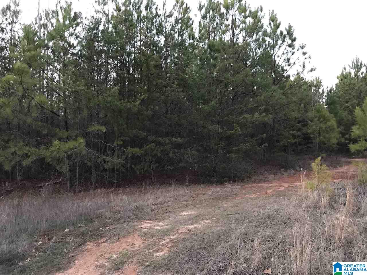 16056 House Road, Unit 16056 Brookwood, AL 35444 - Photo 2 of 11