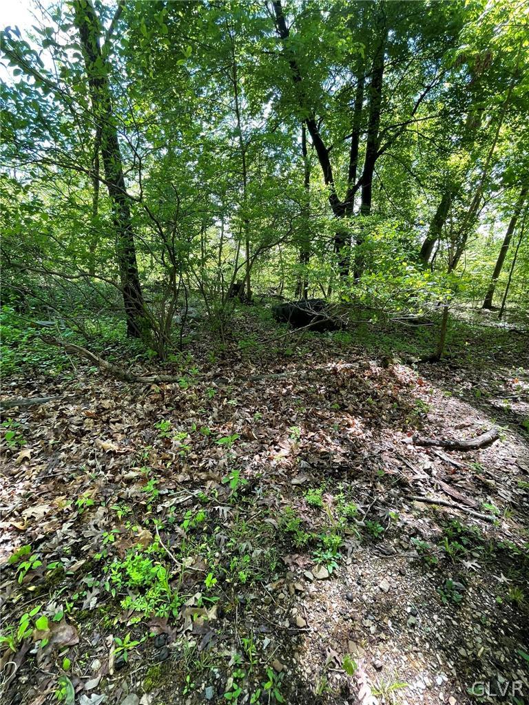 Colony Lane Wind Gap, PA 18091 - Photo 24 of 28