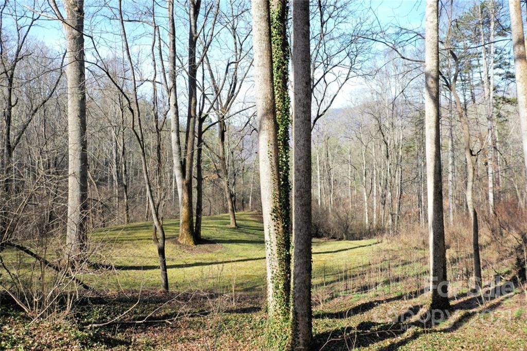 600 Hidden Valley Road Sylva, NC 28779 - Photo 9 of 29 Gallery Image 9