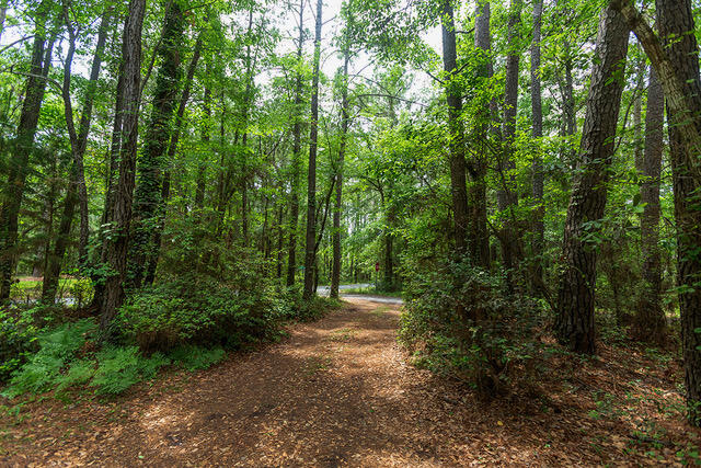 708 Oyster Bay Road McClellanville, SC 29458 - Photo 22 of 31 708 Oyster pic 31