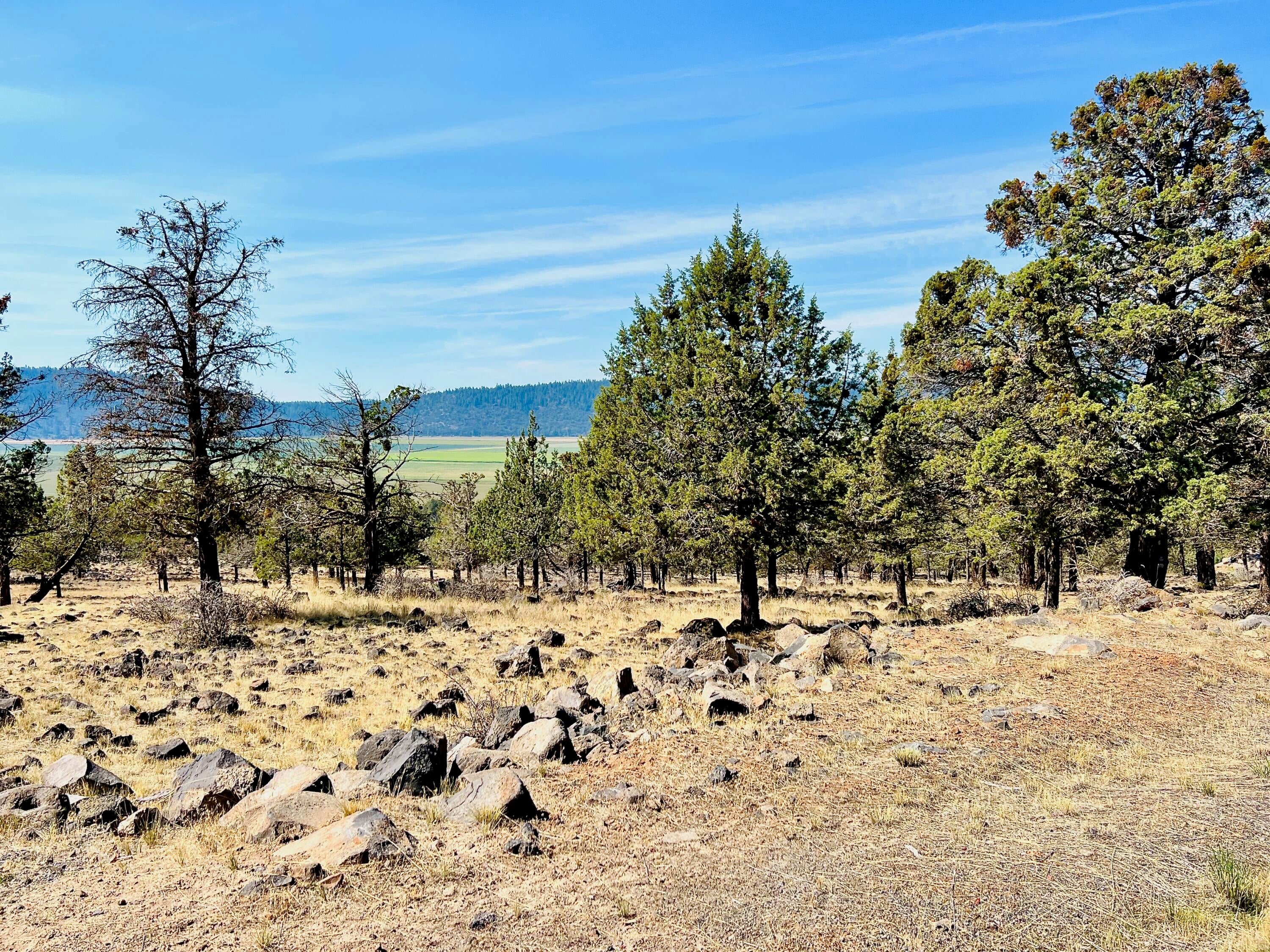 801 Cooper's Hawk Road Klamath Falls, OR 97601 - Photo 6 of 12 6