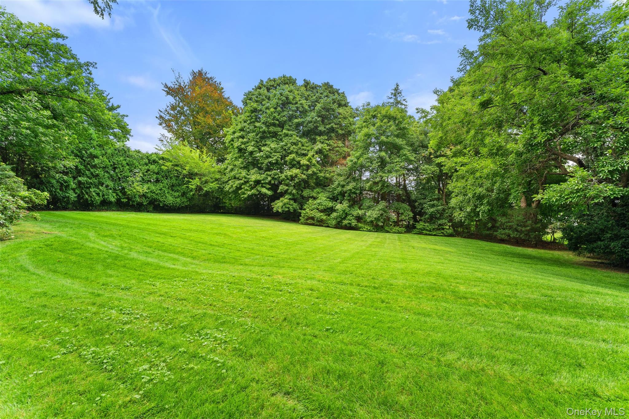 15 Sheldrake Road Scarsdale, NY 10583 - Photo 38 of 45 Plenty of room to play!