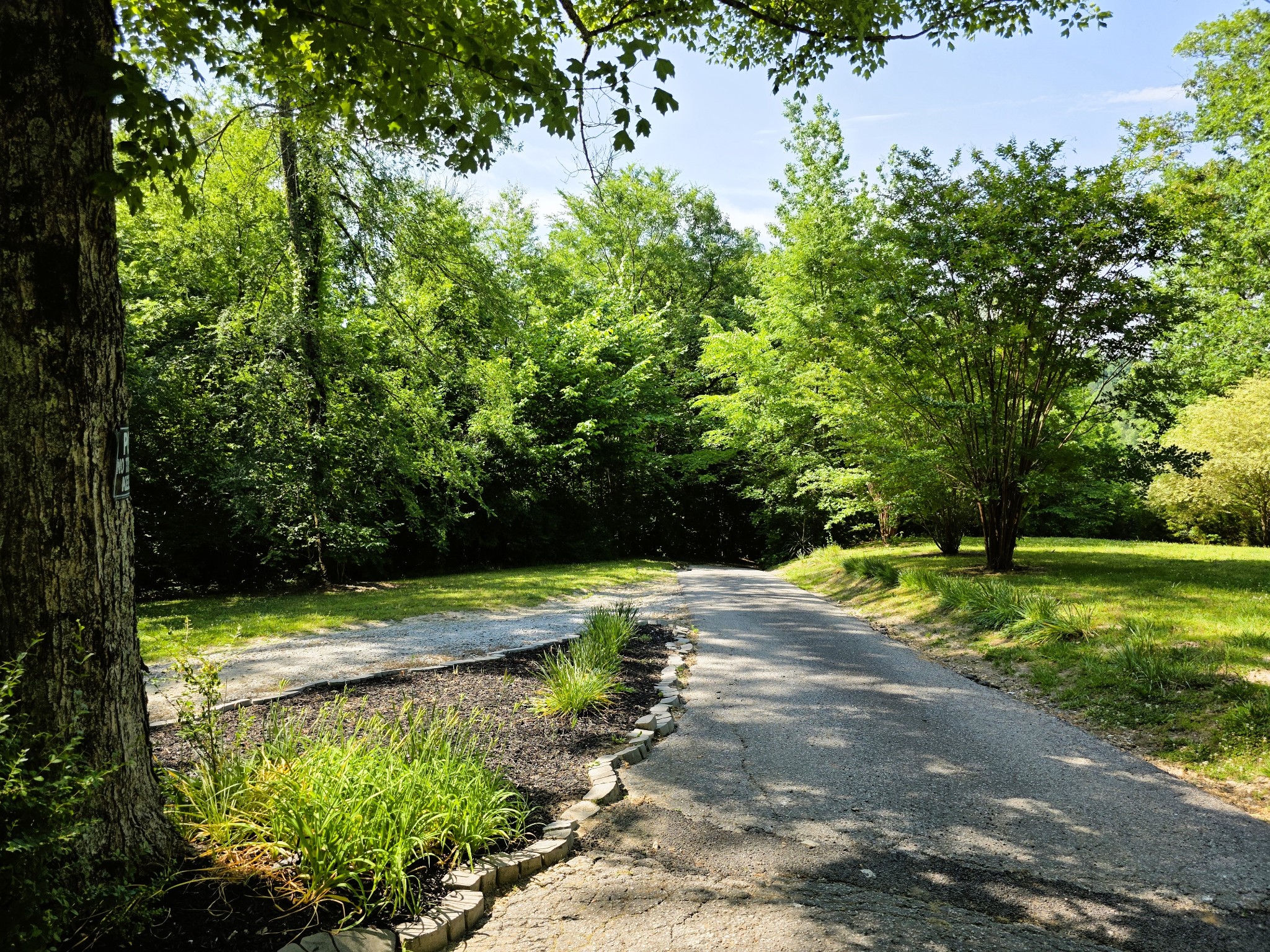 1975 Kelly Road Holladay, TN 38341 - Photo 85 of 95 a view of a backyard with large trees