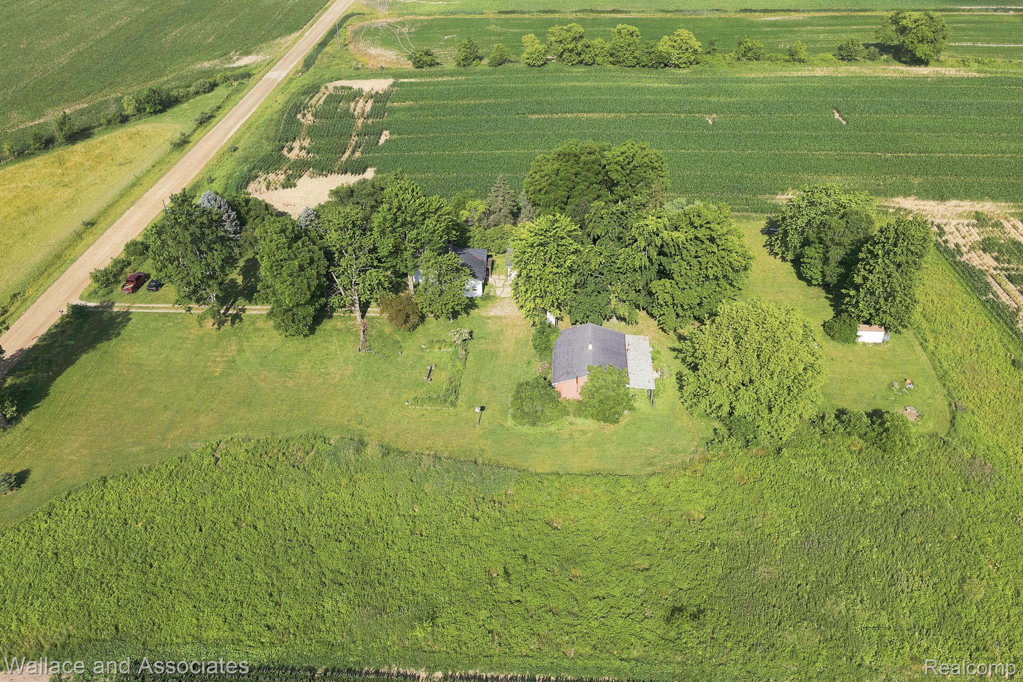 5949 Roach Road Croswell, MI 48422 - Photo 7 of 48 Expansive rural property featuring a main residence with a dark roof and surrounding mature trees