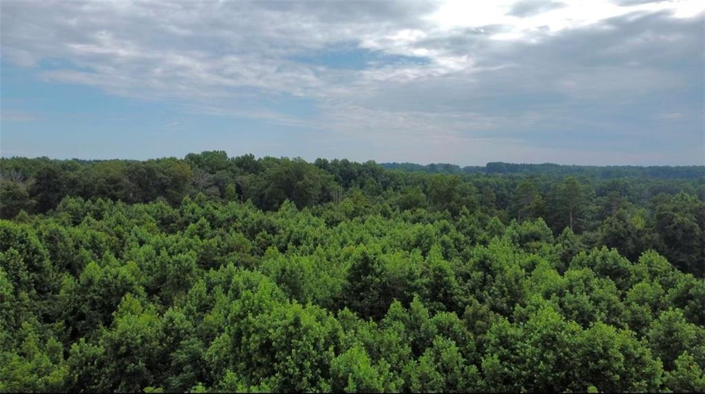 0 Willard Road Staley, NC 27355 - Photo 3 of 3