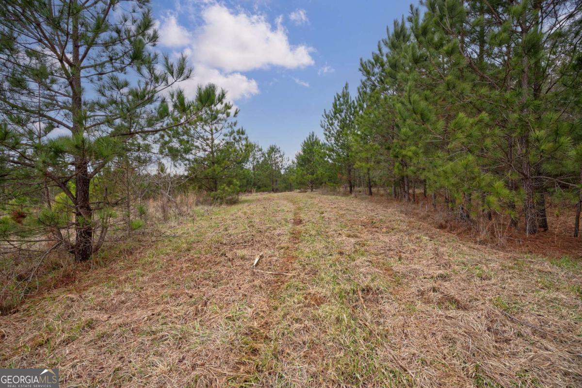 Tract 2 High Shoals Road Bishop, GA 30621 - Photo 15 of 39