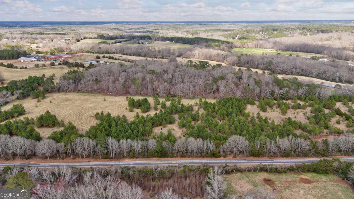 Tract 2 High Shoals Road Bishop, GA 30621 - Photo 28 of 39