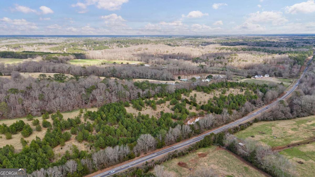 Tract 2 High Shoals Road Bishop, GA 30621 - Photo 30 of 39