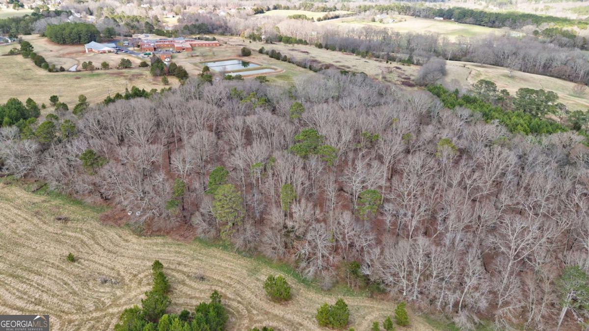 Tract 2 High Shoals Road Bishop, GA 30621 - Photo 31 of 39
