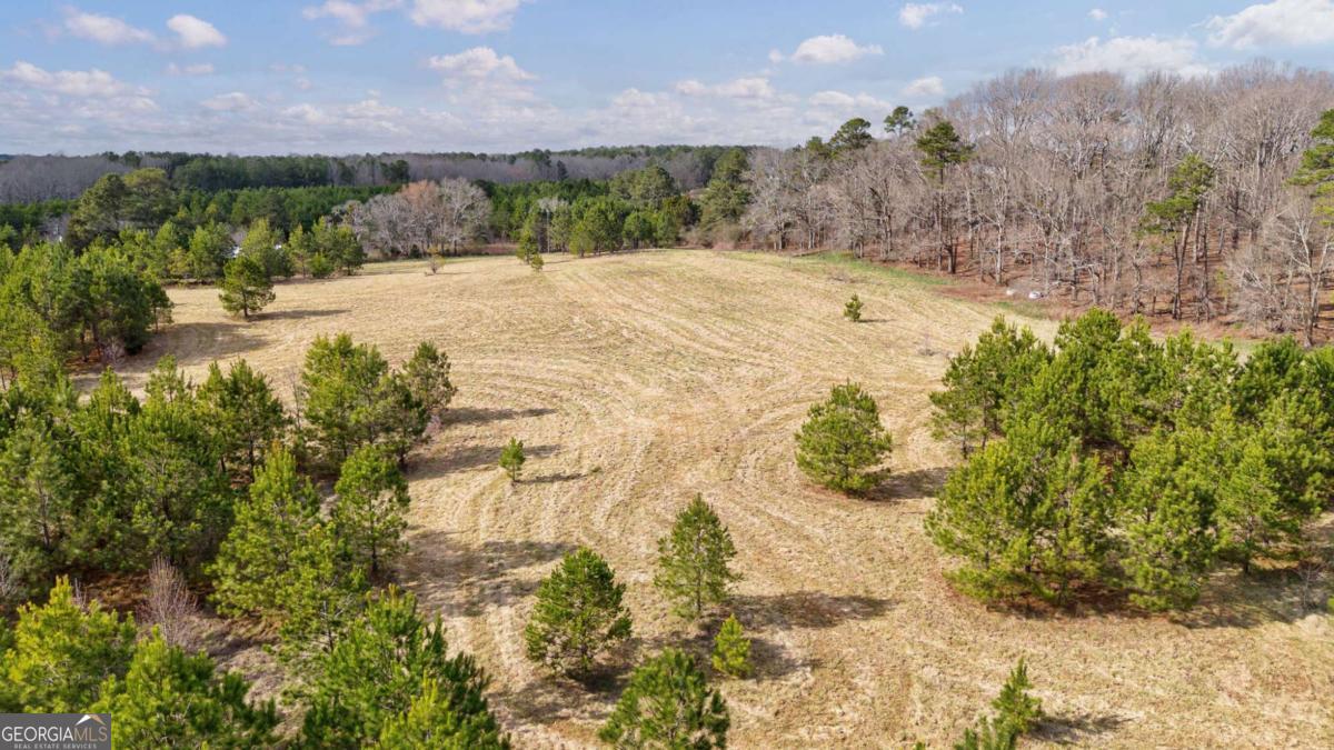 Tract 2 High Shoals Road Bishop, GA 30621 - Photo 36 of 39