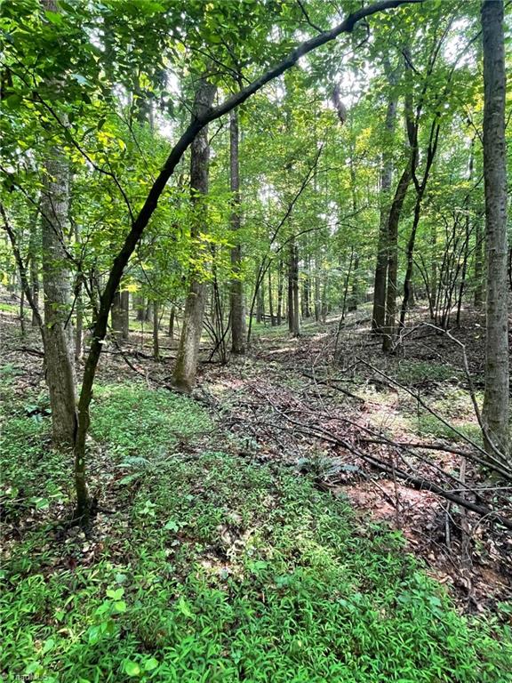 Tbd Poplar Springs Road Roaring River, NC 28669 - Photo 11 of 24 Gallery Image 11
