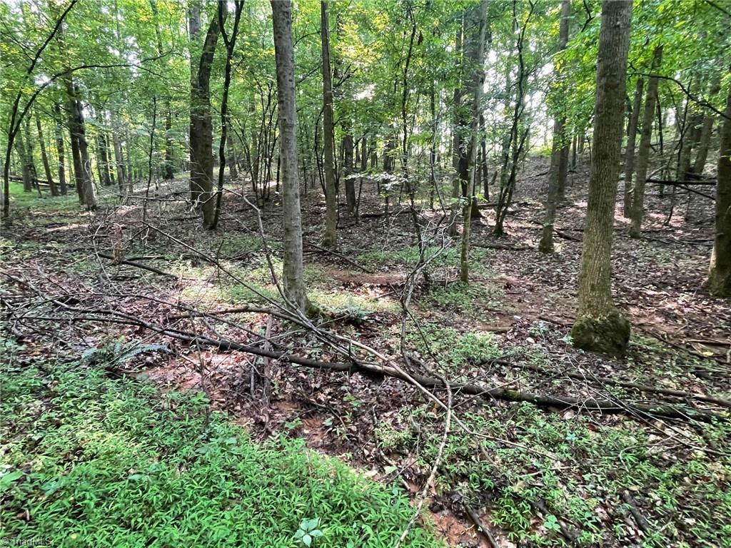 Tbd Poplar Springs Road Roaring River, NC 28669 - Photo 12 of 24 Gallery Image 12