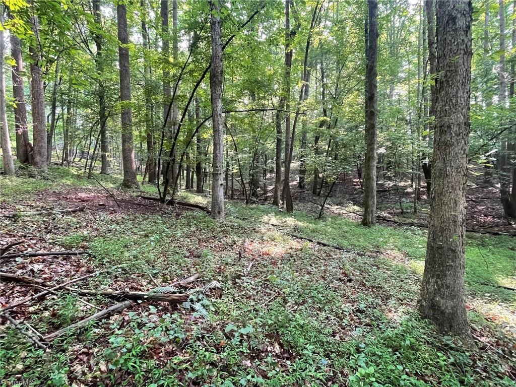 Tbd Poplar Springs Road Roaring River, NC 28669 - Photo 13 of 24 Gallery Image 13