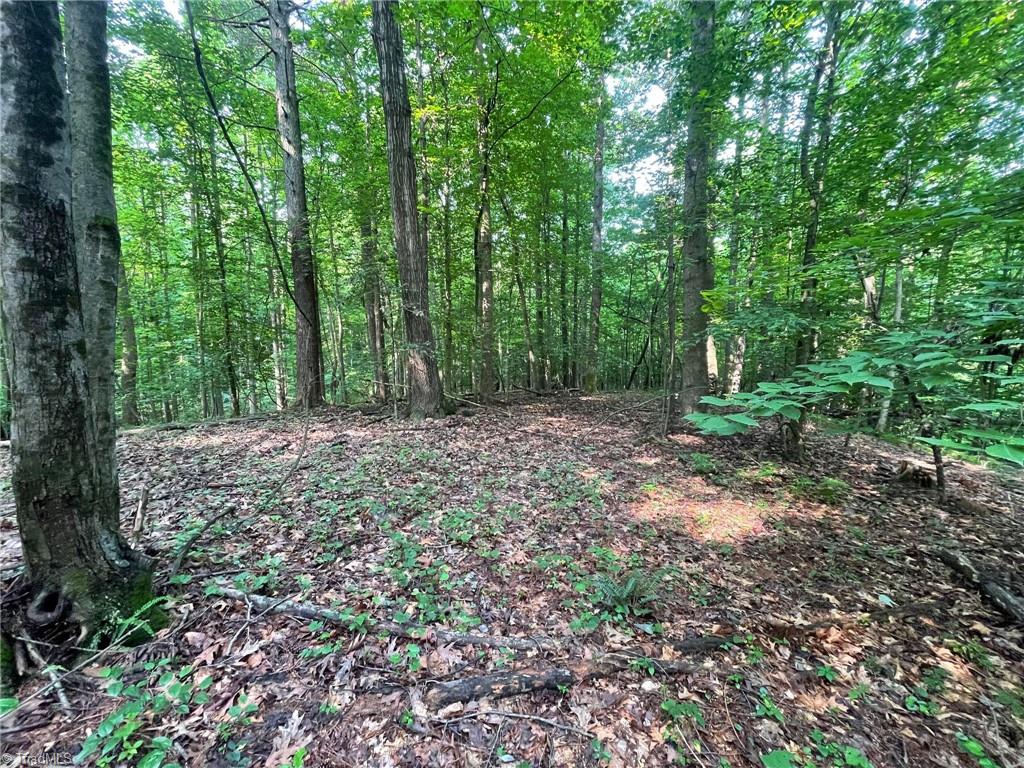 Tbd Poplar Springs Road Roaring River, NC 28669 - Photo 17 of 24 Gallery Image 17
